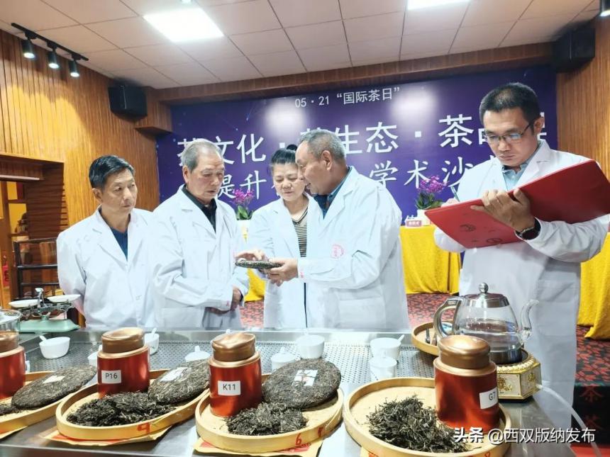 评茶论道 | 共谋勐海茶产业新发展